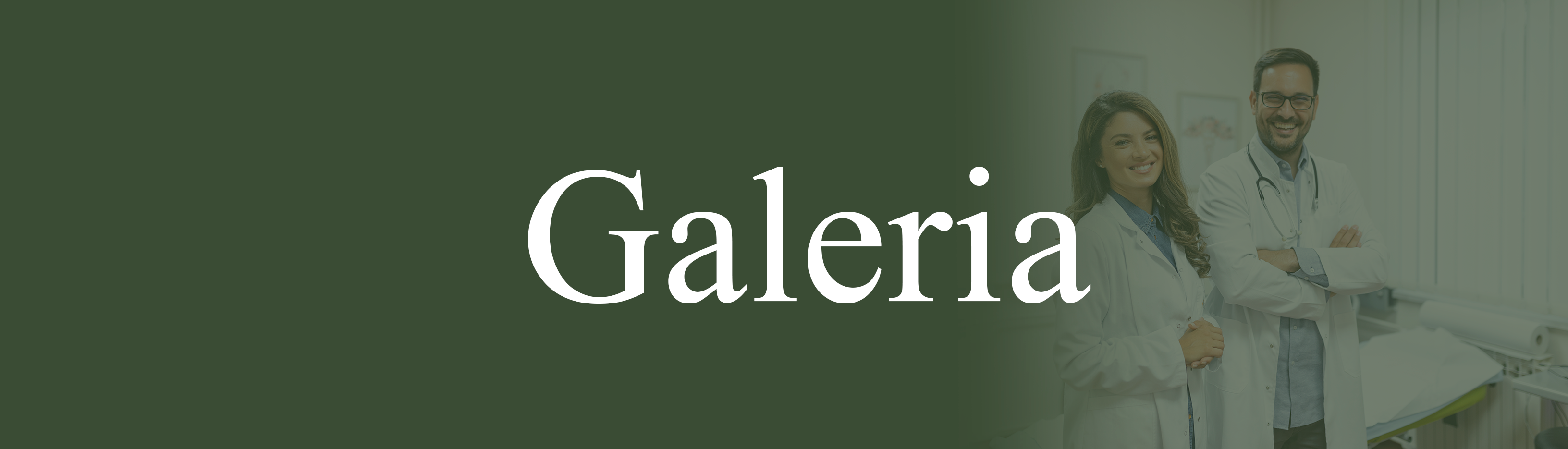Galeria